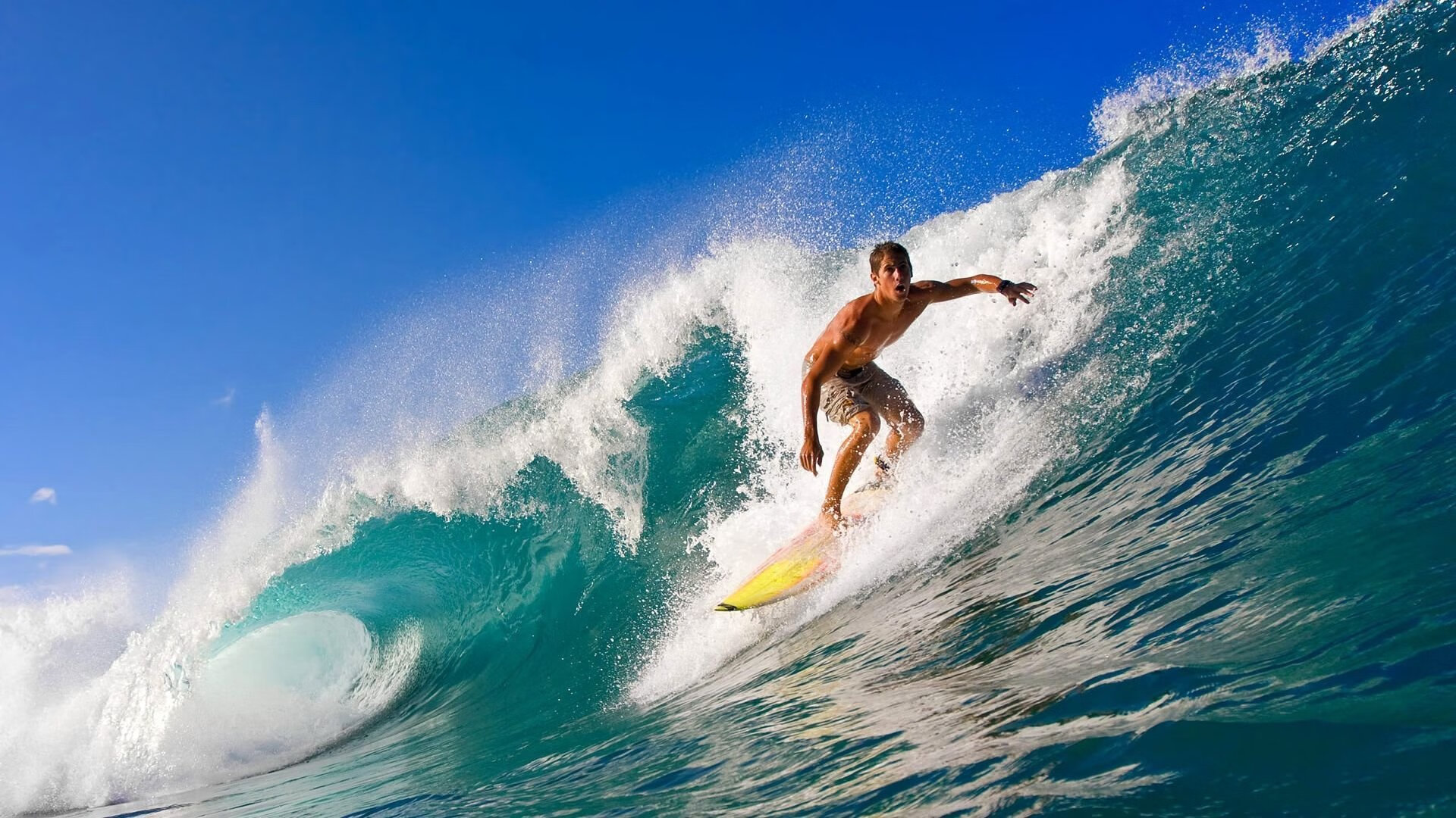 女子职业联赛收入逐年增长,行业前景看好,职业联赛女生